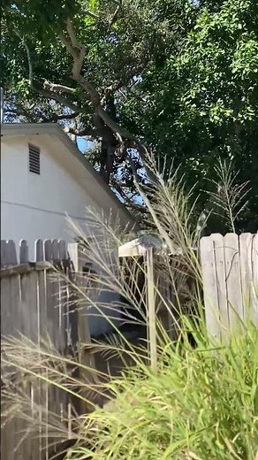 Words from the deviant next door. #pasco #organizedstalking #florida #surveillancefootage