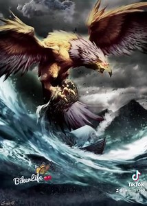 #graphicdesign #graphicdesigner #motiongraphics #art #artist #graphicartist | Biker Life