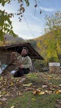 Satisfying Village Life with Animals | Relaxing Daily Farm Routine & Nature Sounds 🌿🐄🐐