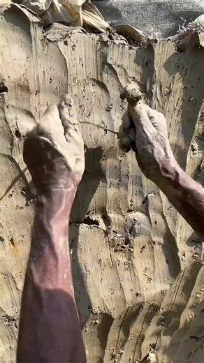 Amazing Facts (@amazing_fact132)’s videos with original sound - Amazing Facts