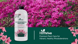 16oz Rhododendron Plant Food – Makes 16 Gallons of Rhododendron Fertilizer for Rhododendrons, Plant Fertilizer for Vibrant Blooms, Greener Leaves & Healthy Growth, Nutrient-Rich Flower Food