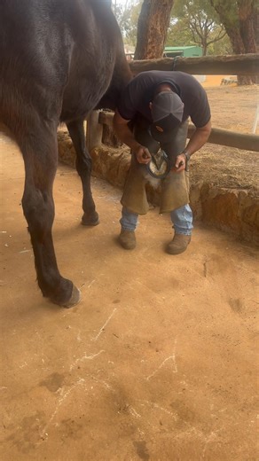 Gidgy show. First day and some good work done. See you all tomorrow at gidgegannup show! | West Australian Farriers Association