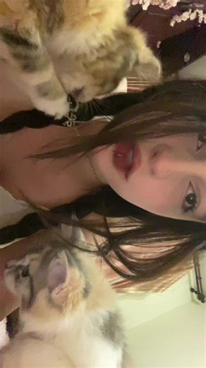 vlm_q0 (@vlm_q0)’s videos with оригинальный звук - MellFan