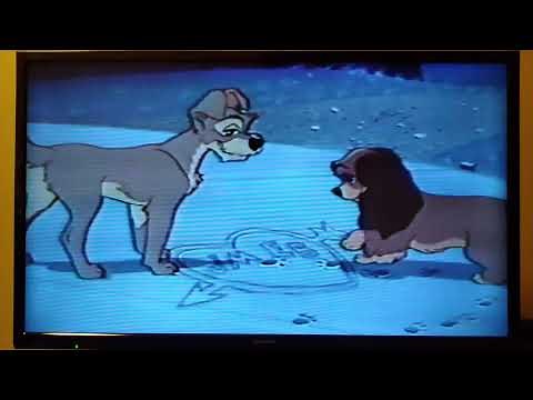 ピーターパン (2001年版) ディズニーVHS 予定集