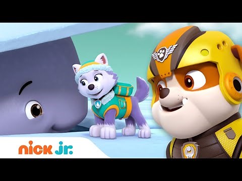 Rubble Rescues a Baby Whale! w/ Everest, Rocky & Robo-Dog | Rubble Official