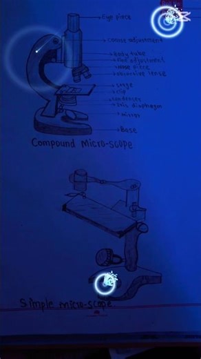 Diagram of simple and compound micro scope for class-11 biology practical file#microscope#biology