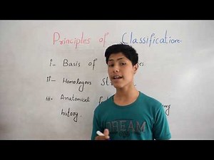 Principle of Classification