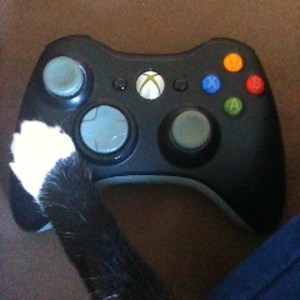 GamesWithElderB - Twitch