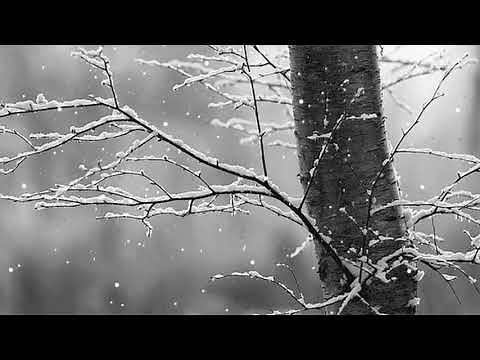 The Neighbourhood - Female Robbery (Slowed)