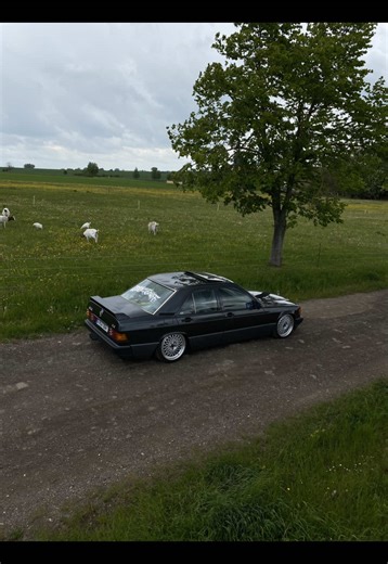 Mercedes-Benz W201: A Summer Throwback