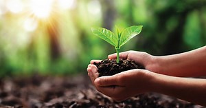 Nurture: Confronting a Crisis | UNSW Sydney