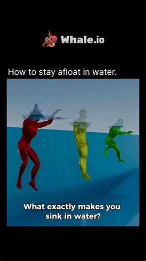 @explains_.everything on Instagram: "To stay afloat in water, the key is mastering buoyancy 🌊🫧. Keep your body relaxed, spread your arms and legs, and let your lungs act as natural floatation—the more air you hold, the easier you float. Gentle kicking or small hand movements help maintain balance. It’s less about strength and more about staying calm, letting water support you. Follow (us) !! Boost Your Experience level Every Day ⚡ With - @explains_.everything #explain #everything #time #knowle