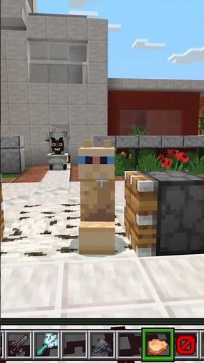 FUSION CAT AND CREEPER!?! ☠️