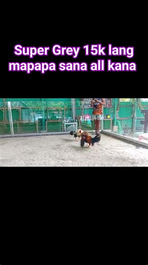 2.6K views | Mella Kasabong Vlog on Reels | Facebook