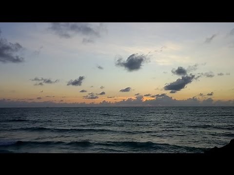 South Florida's Rising Seas: Impact | Sea Level Rise Documentary