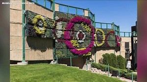 Museum of Outdoor Arts unveils new murals