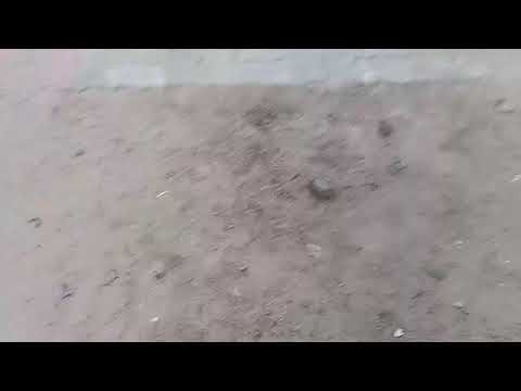 Harshit Jain Live Stream