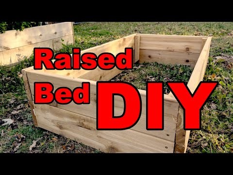 How to Build a DIY Raised Bed