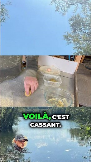 Better cooking of carp flours for digestion