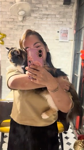 Cutest Cat Café Experience Ever 😻☕ | Pure Happiness