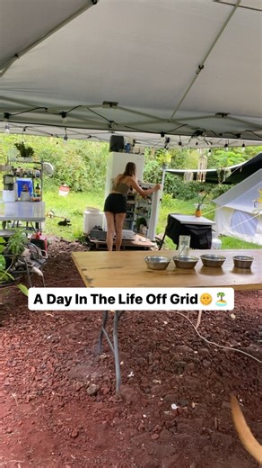 We love living such a simplistic life as close to nature as possible🦋🌴🌺🌈🥑🌊 Our favorite off grid essentials: • Unique brand propane fridge 🧊 • @joolcaco hot water tap for dishes and showers 🚿 • @honda super quiet generator 🔌 • heavy duty canvas yurt tent 🏕 • concord brand triple burner propane stove 🔥 • rechargeable solar lights ☀️🔋💡 • composting toilet 🚽 • jerry cans that are filled & hauled or water catchment tank(s) for water usage 💦 • mosquito coils and burning fires 🦟💨 • 4 