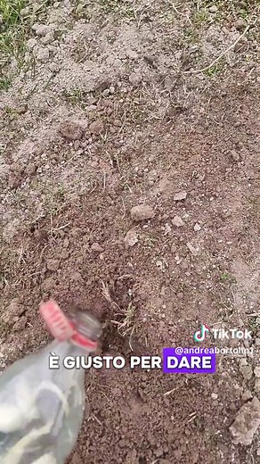 Rimedi Naturali per Eliminare le Talpe in Giardino