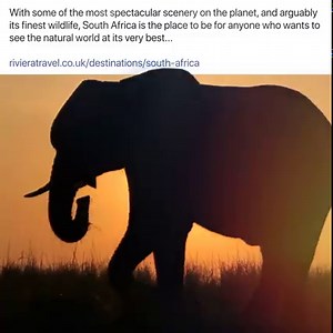 29 reactions · 16 comments | Riviera Travel on Reels | Facebook