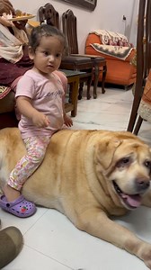 1.7M views · 75K reactions | Jenny ki cute neighbour ❤️ #jennythelab | jenny.the.lab | Facebook