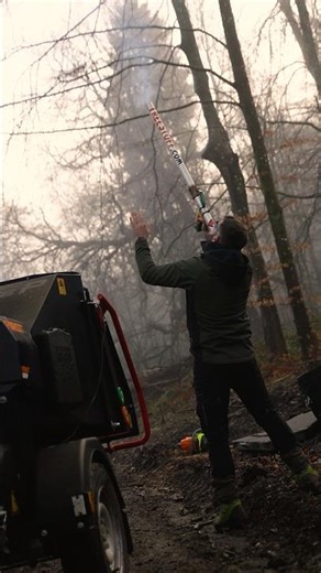 🌳🎥 Rocket Launcher Tree Climbing Edition #arb #arborist #climbing #arborist