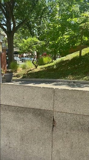 Wmata metro bus route D70