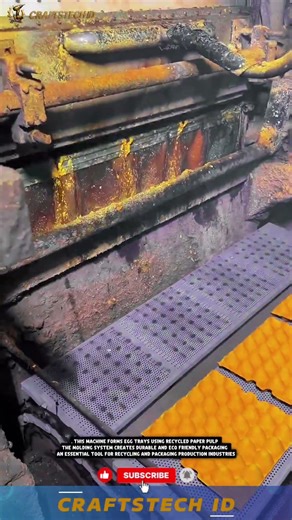 Egg Tray Paper Making Machine for Efficient and Eco Friendly Packaging Production #machine