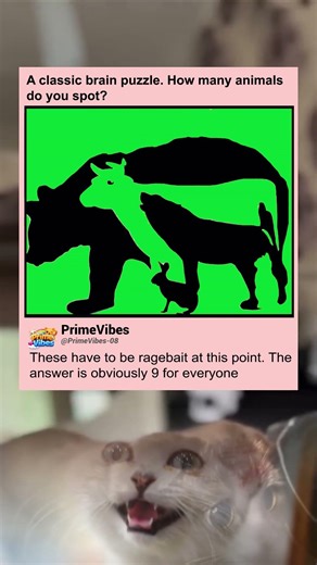 Everyone arguing over the same answer 😭 #memes #shorts