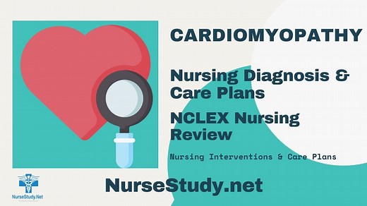 Cardiomyopathy Nursing Diagnosis & Care Plan - NurseStudy.Net