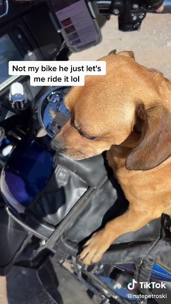 Riding a Harley Trike on the Homestead