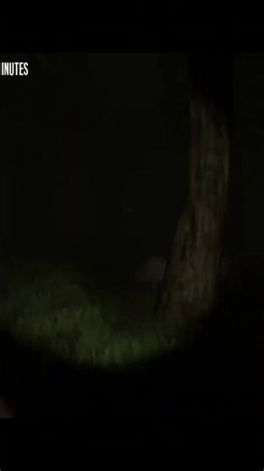 "GRAB THE PAPER!!!!" | TJOC:R | #shorts #horror #fnaf