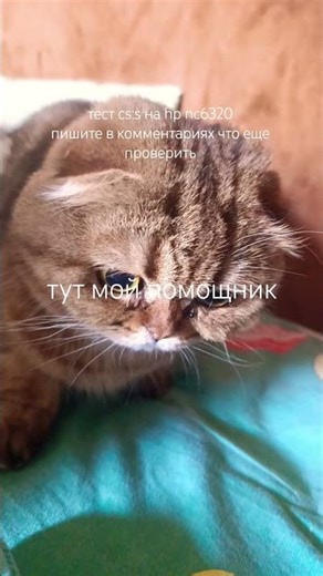 этот ноут 2007-2008 года, его процессор: intel core 2 duo t7200, а видюха: gma 945, оперативки: 4 gb