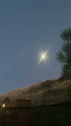 Just the lone wolf and the alphas howling