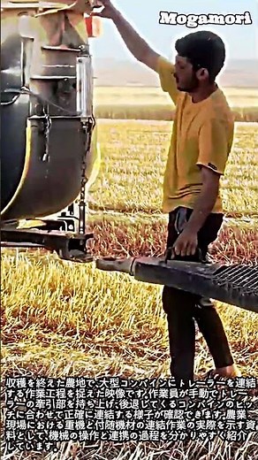 巨大コンバインに挑む！農地での息の合ったトレーラー連結の瞬間 #worker #process #agriculture #harvester #farming