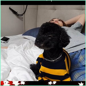 1.1M views · 30K reactions | Mukbang Top Video Hamzy Yummy Eating Show ! Spicy Ramyun with Egg, Rice Cake, Mandoo!! (ft. Kimchi) | Mukbang Top Video | Facebook