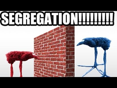 DAMNNATION!!!! (damnation bird meme)