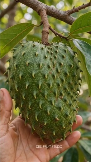 Beautiful Tree Fruits Harvest and Perfect Fruit Cutting | Ultra Realistic 4K HDR ASMR Shorts Video..