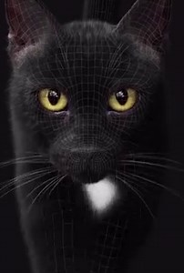 1.3K views · 80 reactions | Massimo Righi walked us through the process of creating fur for a realistic 3D cat model in XGen and discussed the tools he used to make the model look lifelike. Read the breakdown: https://80.lv/articles/realistic-3d-cat-model-groomed-in-xgen/ | 80 Level | Facebook