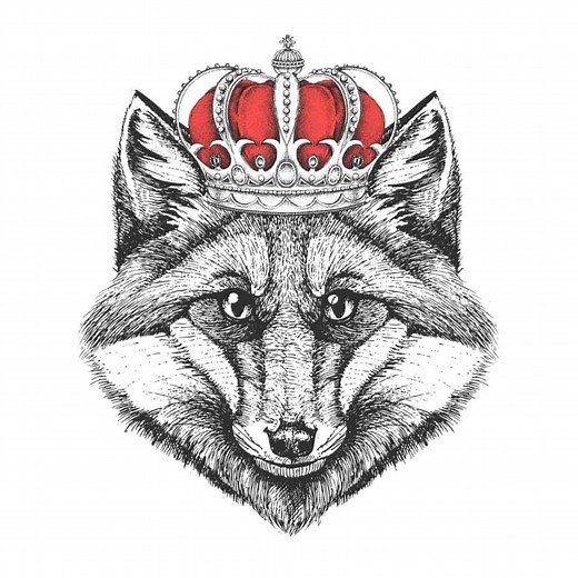 B2B vs B2C - Differences, Definition, Examples, Strategies