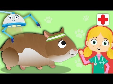 Gordon The Hamster Visits Dr Poppy's Pet Rescue | Animal Cartoons