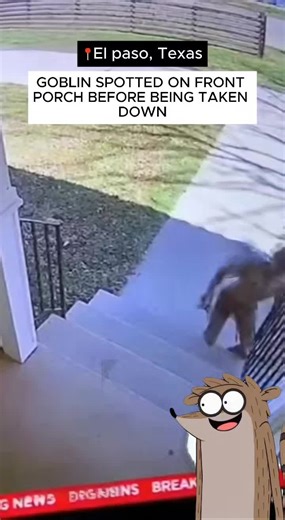 news broadcast shows something no one can explain 🚨🚨#cctv #usa🇺🇸 #pitbulls #breakingnews #goblin