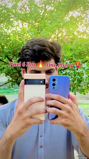 Google Pixel 6 Pro vs OnePlus 9: Camera Comparison and Review