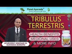 Tribulus terrestris - Health Benefits, Medicinal Uses & More Info