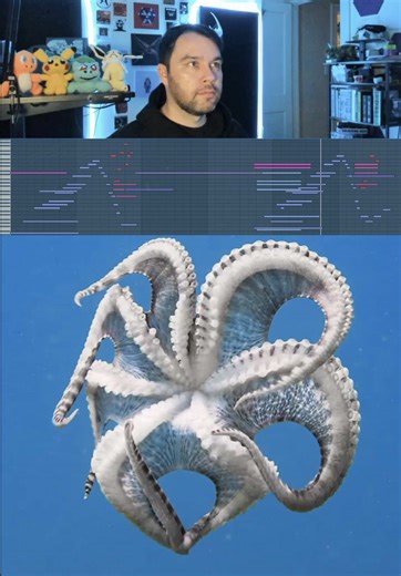 🐙#sounddesign #octopus #musicproducer | octopus