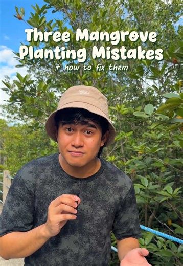 3 Common Mistakes in Mangrove Restoration