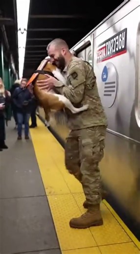 Dogs never forget their warrior